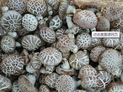 明升mansion88(中国游)最新官方网站